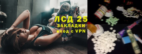 хмурый Мегион