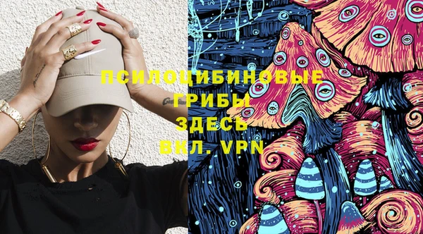 мет Абаза