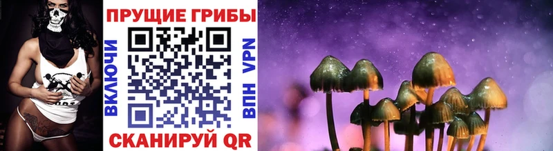 Галлюциногенные грибы Psilocybe гидра онион Янаул